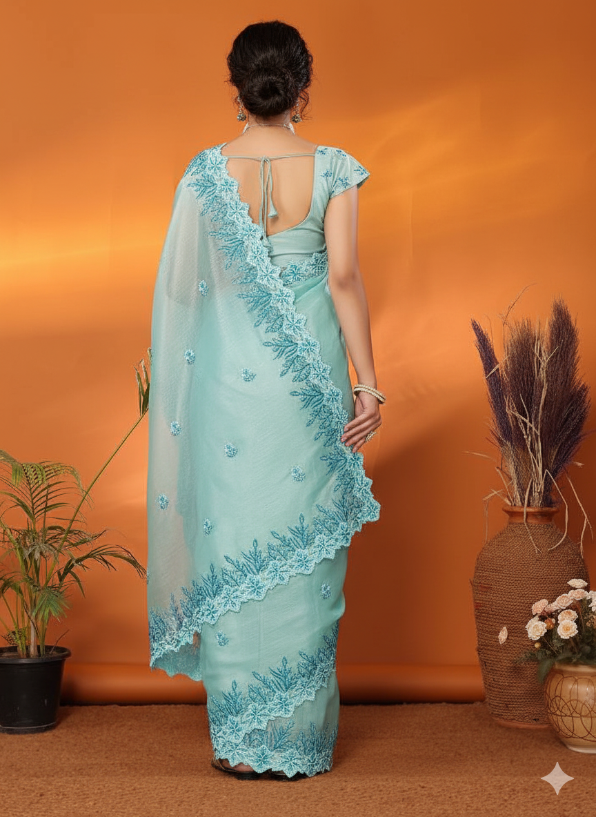Embroidered Jimmy Choo Fancy Saree